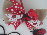 Thumbnail for handcrafted ladybug decor