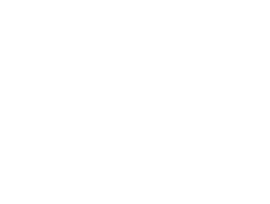 Lasernique Designs - Transparent logo 