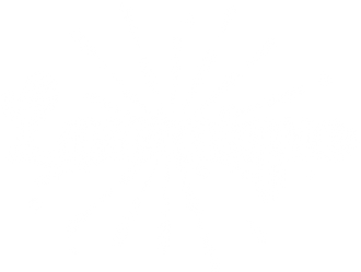 Lasernique